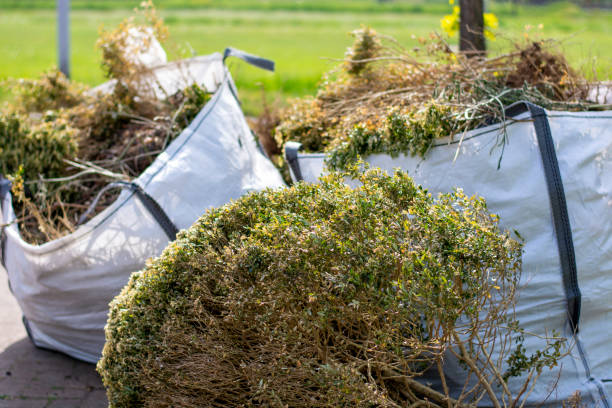 Reliable Delavan Lake, WI Junk Removal Services Solutions